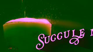 Dr Pepper Dr Pepper Blackberry Succulent Steamy 15 Ad Commercial Brand Imagery Photoshoot 1