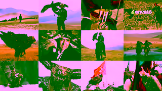 ENVATO Envato Everything you need all in one place Ad Commercial Brand Imagery Photoshoot 0