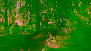 STACYC Cycle STACYC 16E OUTDOOR Ad Commercial Brand Imagery Photoshoot 0