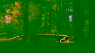 STACYC Cycle STACYC 16E OUTDOOR Ad Commercial Brand Imagery Photoshoot 1