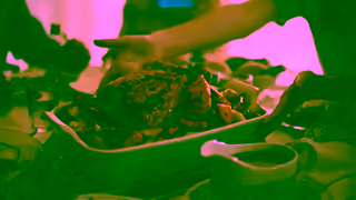 Steggles Steggles Host a Roast for Childrens Charity 6 Ad Commercial Brand Imagery Photoshoot 1