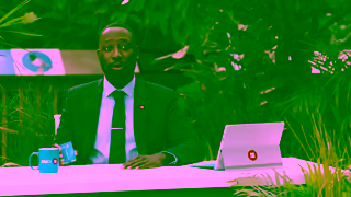 BMO Financial Parrot 015 Ad Commercial Brand Imagery Photoshoot 2