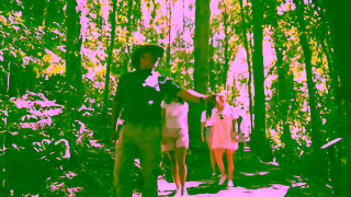 Southern Cross Tours Natural Bridge Ad Commercial Brand Imagery Photoshoot 0