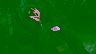 The North Face Free your line The North Face Ad Commercial Brand Imagery Photoshoot 0