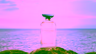 MOROCCANOIL LOriginale Eau de Parfum Ad Commercial Brand Imagery Photoshoot 2