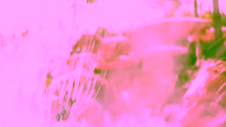 RIU Hotels 1920x1080 canada day Ad Commercial Brand Imagery Photoshoot 1