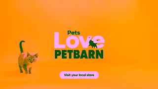 PetBarn Petbarn Puppy Kitten Club Nutrition Ad Commercial Brand Imagery Photoshoot 2