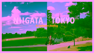 Visit Japan Tokyo x Niigata A Gastronomic Journey from City to Countryside 6 seconds B Ad Commercial Brand Imagery Photoshoot 0