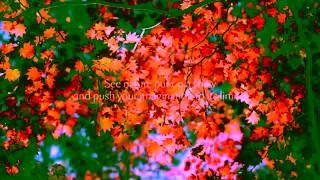 Cunard Canada and New England by Cunard Ad Commercial Brand Imagery Photoshoot 1