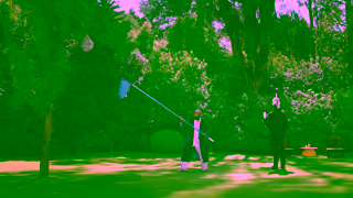 The Zebra Rather Do The Zebra 30 Second Commercial Ad Commercial Brand Imagery Photoshoot 2