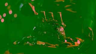 Lurpak UKLurpakWIDJCChristmasvid15secspark v1 Ad Commercial Brand Imagery Photoshoot 2