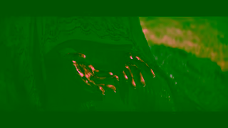 Universal Pictures The Woman In The Yard Only In Theatres March 28 Ad Commercial Brand Imagery Photoshoot 0