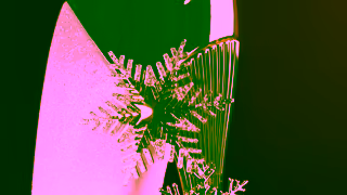 Caroline Herrera Holidays 2024 Carolina Herrera Ad Commercial Brand Imagery Photoshoot 1