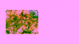 Quaker Quaker Deliciously Ugly Ad Commercial Brand Imagery Photoshoot 1