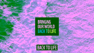 WWF Adopt An Animal With WWF Ad Commercial Brand Imagery Photoshoot 2