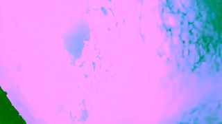 The RSPB Nature is in crisis but together we can save it Ad Commercial Brand Imagery Photoshoot 1