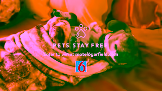 Motel 6 Enter To Win The Motel 6 Garfield Movie Suite Sweepstakes Ad Commercial Brand Imagery Photoshoot 2