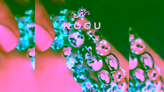 NOGU NOGU Studio GlowintheDark Iridescent Bracelets Canadian Luxury Jewelry w Meaning Ad Commercial Brand Imagery Photoshoot 2