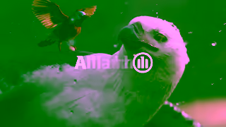 Allianz Care you can count on Ad Commercial Brand Imagery Photoshoot 2