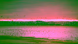 Visit Quebec City Exploring Qubec City in Fall A Seasonal Wonderland Ad Commercial Brand Imagery Photoshoot 1