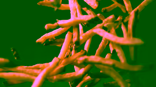 New York Fries Nacho Fries Ad Commercial Brand Imagery Photoshoot 0