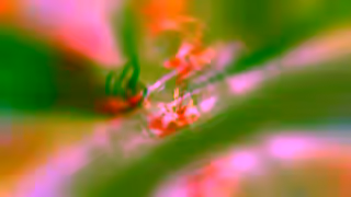 SEGA Shinobi Launch 16x9 15s Multi OutNow EN PEGI12 IGN 1 Ad Commercial Brand Imagery Photoshoot 2