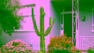 Specsavers SALE 50 off all lens options Offer ends June 30 Ad Commercial Brand Imagery Photoshoot 0