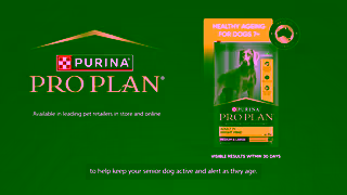 Purina Watch Vet Dr Ellen Minas Story PRO PLAN BRIGHT MIND Dog Food Ad Commercial Brand Imagery Photoshoot 2