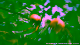 IGN.com The Ants Underground Kingdom x Lucas the Spider Official Collaboration Trailer Ad Commercial Brand Imagery Photoshoot 2