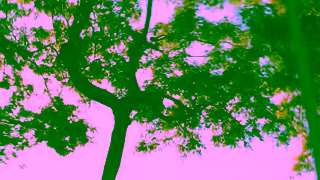 RIMOWA NS4 Hero Anthem 16x9 EN 30s Ad Commercial Brand Imagery Photoshoot 2