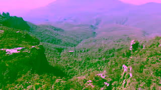 Scenic World Katoomba Scenic World 2024 Ad Commercial Brand Imagery Photoshoot 2