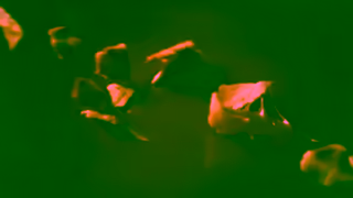 Ghirardelli Milk Chocolate Caramel Waffle Cone SQUARES Ghirardelli Chocolate Company Ad Commercial Brand Imagery Photoshoot 1