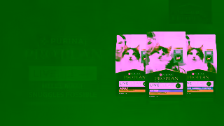 Purina Watch Storm Nins Story PRO PLAN LIVECLEAR Allergen Reducing Cat Food Ad Commercial Brand Imagery Photoshoot 2