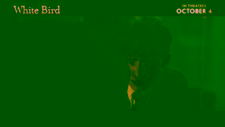 Cineplex Pictures WHITE BIRD In theatres October 4 Cineplex Pictures Ad Commercial Brand Imagery Photoshoot 2