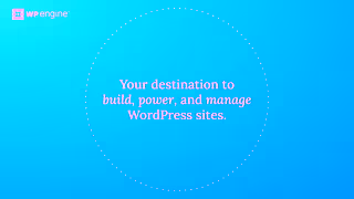 WordPress Confidence Online with WP Engine Ad Commercial Brand Imagery Photoshoot 0