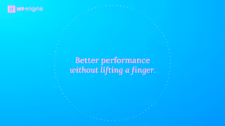 WordPress Confidence Online with WP Engine Ad Commercial Brand Imagery Photoshoot 1