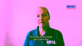 RSPCA.org.uk inspectorberniestoryneedledsummer1920x1080 Ad Commercial Brand Imagery Photoshoot 0