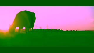 Dairy Australia Australian dairys promise Ad Commercial Brand Imagery Photoshoot 2