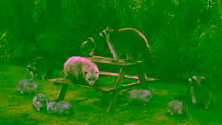 IKEA IKEA IKEA Gathering Ad Commercial Brand Imagery Photoshoot 2