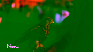 Collette LowSeason Touring Morocco Collette Ad Commercial Brand Imagery Photoshoot 0