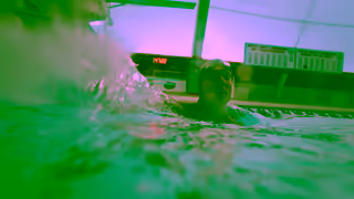 Nulo Pet Food Nulo Every Dream They Hold Ad Commercial Brand Imagery Photoshoot 1