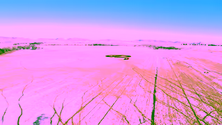 FNBO FNBO Cattle Art Ad Commercial Brand Imagery Photoshoot 1