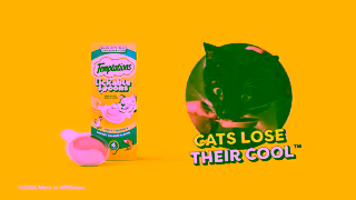 Temptations ENG Spoons TeenageCatVideo 6s 16x9 YouTube Ad Commercial Brand Imagery Photoshoot 2