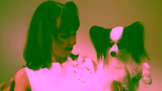 MAYTAG Conquer Pet Hair Like a Pro with the Maytag Pet Pro System Ad Commercial Brand Imagery Photoshoot 1