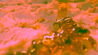 Connoisseur Connoisseur Honeycomb Australian Honey Ad Commercial Brand Imagery Photoshoot 1