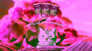 Whiskas WHISKAS 9917 Product Detail Page EN Ad Commercial Brand Imagery Photoshoot 1