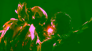 Wynn Las Vegas Awakening Trailer Ad Commercial Brand Imagery Photoshoot 1