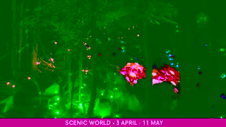 Scenic World Katoomba Nocturnal x Scenic World 3 April to 11 May 2025 Ad Commercial Brand Imagery Photoshoot 0