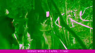 Scenic World Katoomba Nocturnal x Scenic World 3 April to 11 May 2025 Ad Commercial Brand Imagery Photoshoot 1