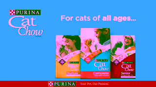 Purina Purina Cat Chow for Cats of All Ages Ad Commercial Brand Imagery Photoshoot 0